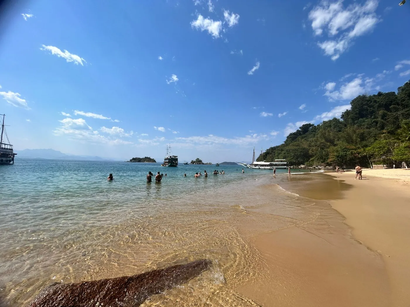 Coqueiros e areia clara na Ilha dos Cocos, em Paraty Coqueiros e areia clara na Ilha dos Cocos, em Paraty